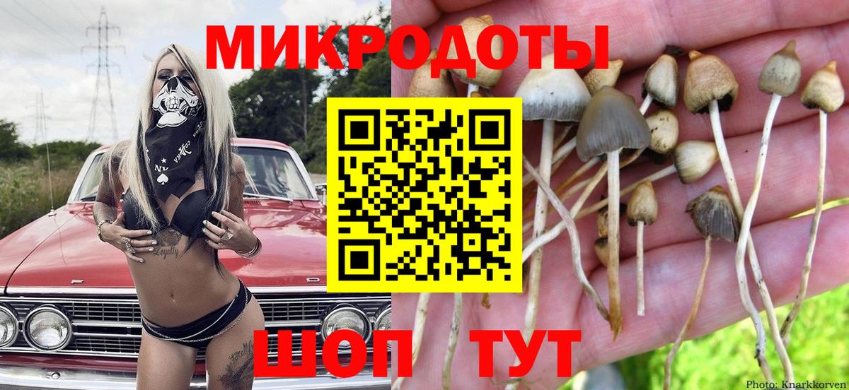купить  сайты  Псилоцибиновые грибы Psilocybine cubensis  Вход с VPN  Узловая 